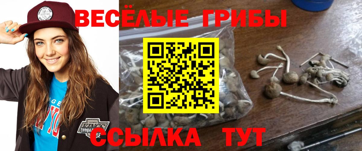 Галлюциногенные грибы мицелий  Псилоцибиновые грибы MAGIC MUSHROOMS  Печора  Вход с VPN 
