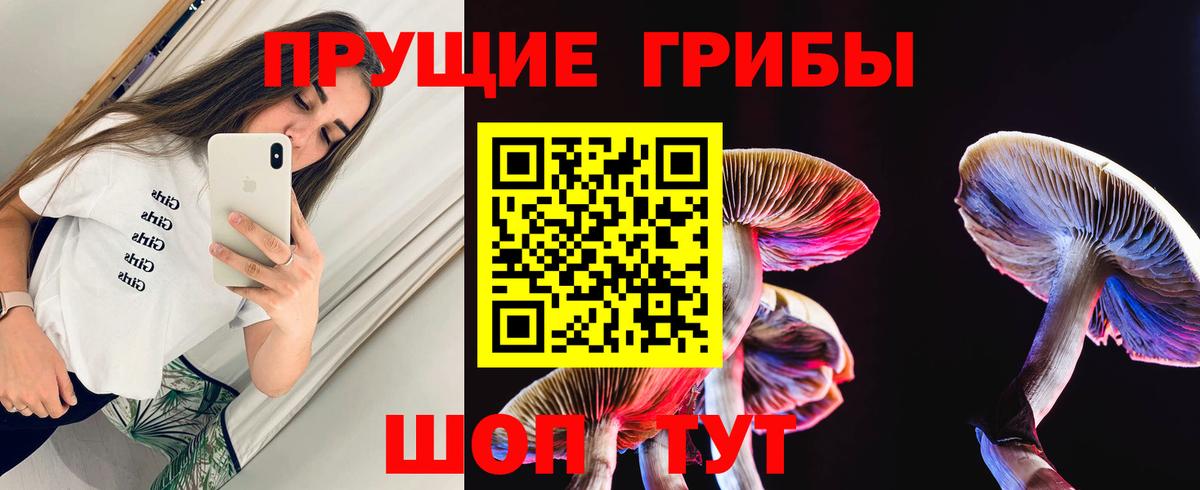 Галлюциногенные грибы GOLDEN TEACHER Печора